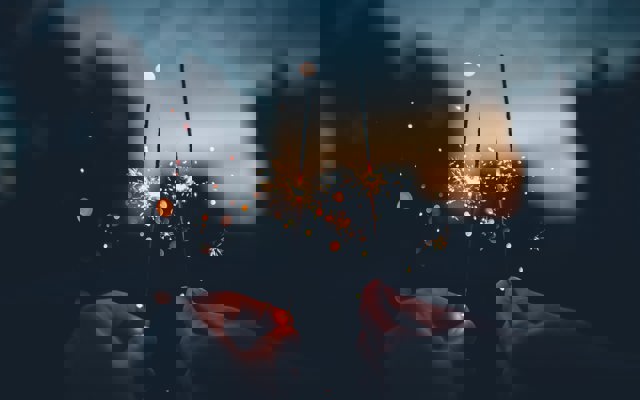 Tomtebloss på kvällen