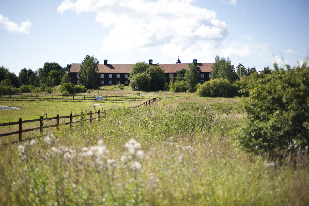 Vacker natur och fina ängar finns i närheten av hotellet
