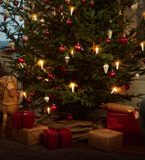 Julgran med paket