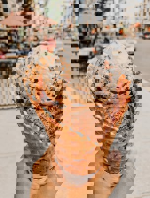 Glasskulor i en glasstrut