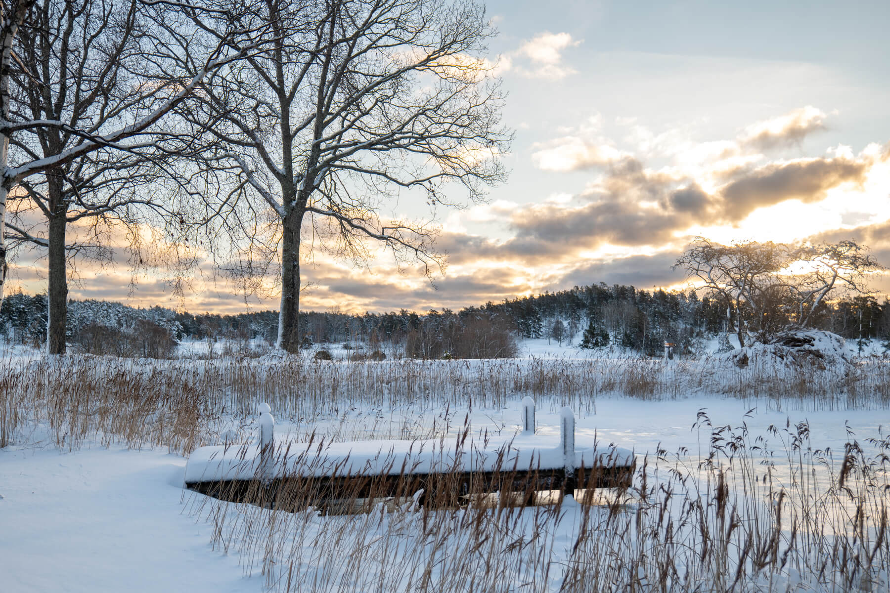 Snötäckt brygga och is på sjön