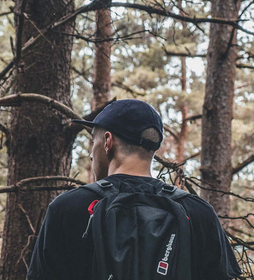 Vandring i skog och natur