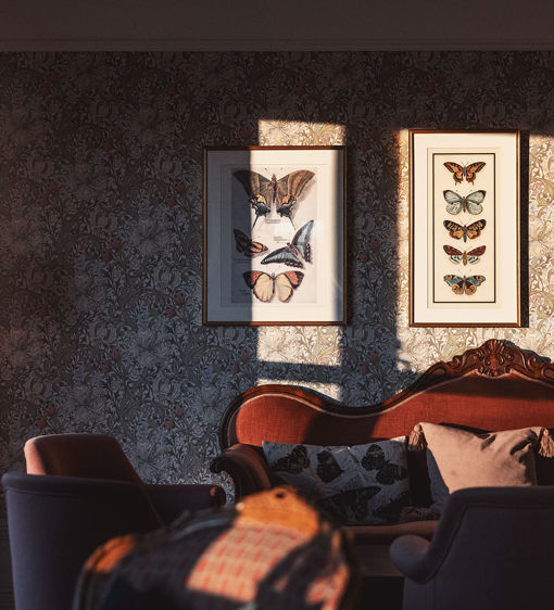 Vacker salong med fjärilar