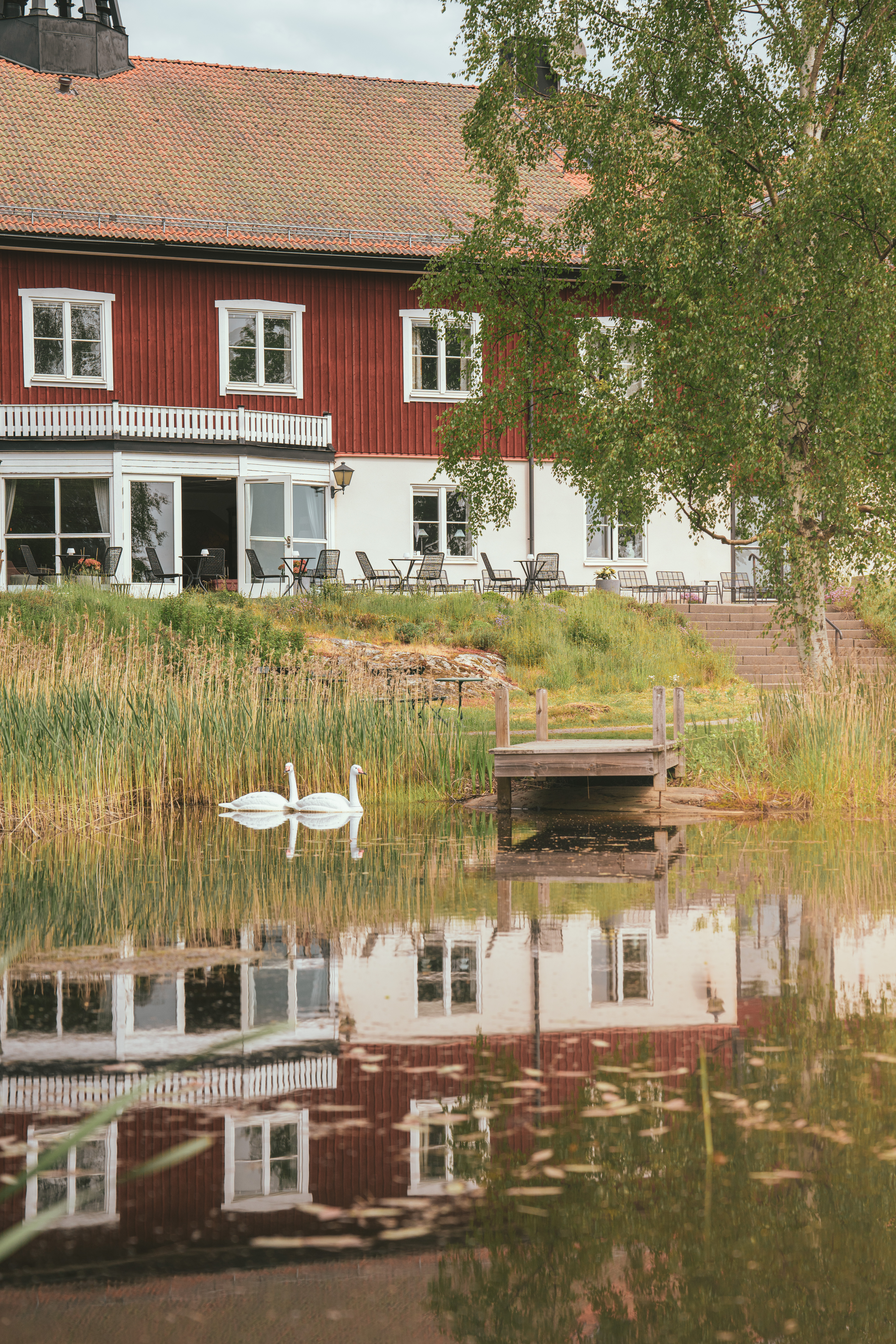 Sommar med vackert väder och en sjö med svanar