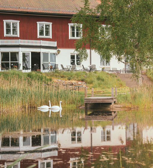 Sommar med vackert väder och en sjö med svanar