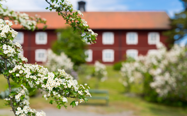 Vackert rött hus på sommaren med grönskande omgivningar