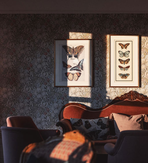 Vacker salong med tavlor på fjärilar